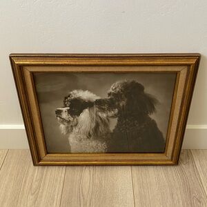 vintage poodle photograghy gold framed art signed dated 1970